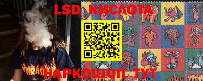 мяу мяу мука Славгород